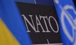 Đức nói gì về việc Ukraine xin gia nhập NATO?