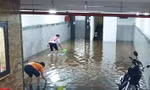 Đường biến thành 'sông', dân chung cư Hà Nội hò nhau bắt cá sau mưa lớn
