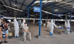 Lực lượng y tế lấy mẫu xét nghiệm công nhân. Ảnh: Minh họa