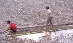 Kinh hãi cảnh người dân Mù Cang Chải liều mình vớt củi trong lũ dữ&nbsp; 