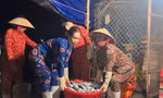 Tảo tần mưu sinh nơi cảng cá