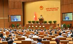 Chính phủ trình Quốc hội dự án Bộ luật Hình sự (sửa đổi)