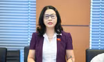  Đại biểu Quốc hội đề nghị nghiên cứu kỹ ngưỡng ‘kích hoạt’ tình trạng khẩn cấp