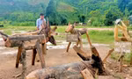 Không gian xanh nhờ thùng rác hình thú ngộ nghĩnh của thanh niên vùng sâu