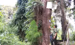 Vào vương quốc thủy tùng 