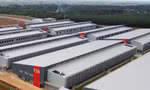 Cty TNHH Longwell liên tiếp lỗ trong 2 năm gần đây Ảnh: PV; đồ họa: Quốc Anh 
