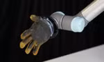 Da nhân tạo 'biết đau' như người: Bước tiến ngoạn mục trong chế tạo robot biết cảm xúc