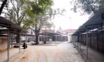 Chợ tiền tỷ xây xong bỏ hoang, tiểu thương phải xuống lòng đường buôn bán