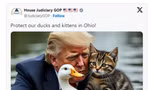 Nhóm nghị sĩ Cộng hòa trong Ủy ban Tư pháp Hạ viện Mỹ đăng trên mạng xã hội ảnh AI ông Donald Trump với lời kêu gọi "Bảo vệ mèo và vịt của chúng ta ở bang Ohio". Ảnh: X