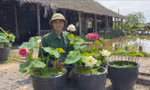 Về quê trồng sen, nam cử nhân kiếm lợi nhuận khủng nhờ mắc 'bệnh' liều