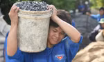 Sinh viên tình nguyện nối nhịp đôi bờ ở vùng quê Đồng Tháp