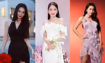 Sao Việt nói gì: Ninh Dương Lan Ngọc khóc một mình, Puka "giải vây" đồng nghiệp