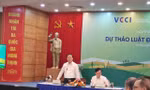 Bộ trưởng Tài nguyên và Môi trường: Không đưa condotel vào Luật đất đai sửa đổi