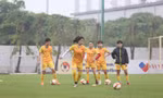 Đội tuyển nữ Việt Nam sang Nhật Bản tập huấn, hướng tới giành vàng SEA Games 32 