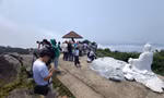 Đà Nẵng sẽ mở tour thưởng trà tại nơi tỷ phú Bill Gates từng đến