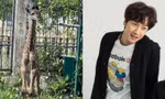 Góc đặt tên hươu cao cổ: Netizen "triệu hồi" Lee Kwang Soo, Thơm (Da LAB) cũng góp vui