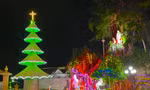 Cây thông Noel ‘độc nhất vô nhị’, được trang trí từ cả triệu vỏ sò, ốc, hàu