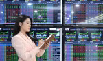 Chứng khoán rực rỡ như pháo hoa, hơn 1,3 tỷ USD 'sang tay' chớp nhoáng 