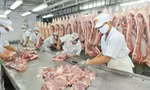 Thịt lợn tăng giá, cổ phiếu chăn nuôi 'đua trần'