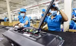Asanzo nợ thuế gần 50 tỷ đồng, bị dừng làm thủ tục hải quan