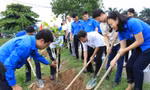 Tuổi trẻ Bắc Ninh trồng cây xanh