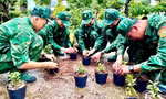 Chủ nhật xanh của người trẻ quân hàm xanh