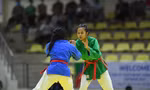 ảnh Nguyễn Hải