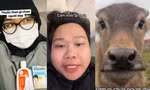 Netizen thi nhau hỏi han "cơm nước gì chưa người đẹp", trend này có ý nghĩa gì?