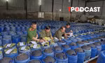 NÓNG 19/4: Bắt 4 chủ cơ sở ngâm giá đỗ bằng hóa chất 'nước kẹo', đã bán 3.500 tấn