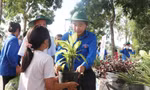 Tuổi trẻ Nghệ An, Hà Tĩnh tưng bừng các hoạt động tình nguyện vì văn minh đô thị