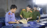 'Nóng' hàng giả, thực phẩm bẩn tại kỳ họp HĐND tỉnh 