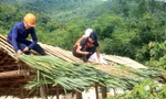 Ấm lòng cảnh giáo viên, phụ huynh dựng phòng đọc sách cho học sinh vùng cao