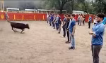 Thầy giáo ở Mexico gây tranh cãi khi bắt sinh viên xếp thành 3 hàng ngay trước mặt bò tót