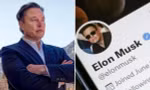 Diễn biến oái oăm trên Twitter sau thông báo thu phí "tick xanh", Elon Musk cũng không ngờ tới