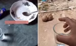 Tức giận vì chồng ăn xong không rửa bát đĩa bẩn, người vợ ở Indonesia ném vỡ hết đồ bẩn