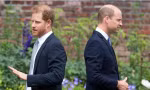 Ồn ào thông tin nhân viên của William “gieo rắc” chuyện về Harry: Phía William đã phản ứng