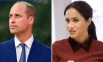 Hoàng tử William chỉ nói đùa một câu, fan của Meghan chỉ trích “cố tình nhằm vào em dâu”