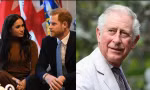 Harry phê phán Thái tử Charles: “Ông ấy đối xử với tôi theo cách mà ông ấy bị đối xử”