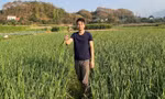 Khởi nghiệp từ tỏi đen, chàng trai 9X tạo sinh kế bền vững cho bà con vùng cao 