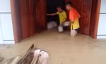 Cận cảnh cuộc sống người dân ngập trong biển nước do tràn đê bối ở Bắc Giang