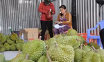 Xuất khẩu nông sản sang Trung Quốc: Vẫn còn mạo danh mã số