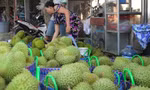 Giá lao dốc, xuất khẩu bất thành, người trồng sầu riêng vỡ mộng?