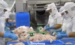 Nhà hàng sushi trong nhóm ‘khó tính’ nhất thế giới dùng cá tra Việt Nam