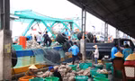 Kiên Giang gắng sức gỡ thẻ vàng IUU, hỗ trợ ngư dân