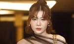 Thanh Hương xuất hiện sau ly hôn