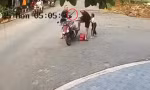 [CLIP] Người đàn ông chở con đi học bị tài xế ô tô dùng gậy tấn công