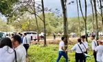 Lại xuất hiện 'chiêu trò' gây sốt đất ở Bình Phước