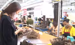 Bình Dương chỉ đạo 'nóng' về giám sát chi trả lương, thưởng Tết cho người lao động