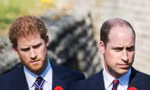 Người Mỹ đang ủng hộ Harry