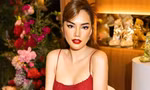 Ngừng phiên tòa tranh chấp liên quan đến Hoa hậu Lê Hoàng Phương